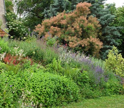 exemple avec différent volume de végétaux