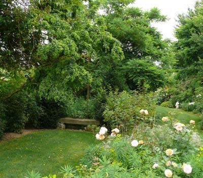 banc en pierre entouré de végétations