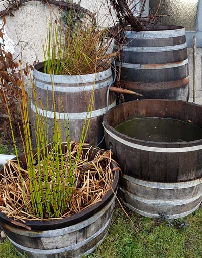 récuperation d'eau de pluie en cascade dans des tonnaux